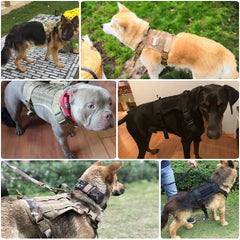 Tactical No Pull Dog Harness